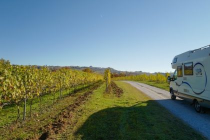 Tra i vigneti delle Langhe