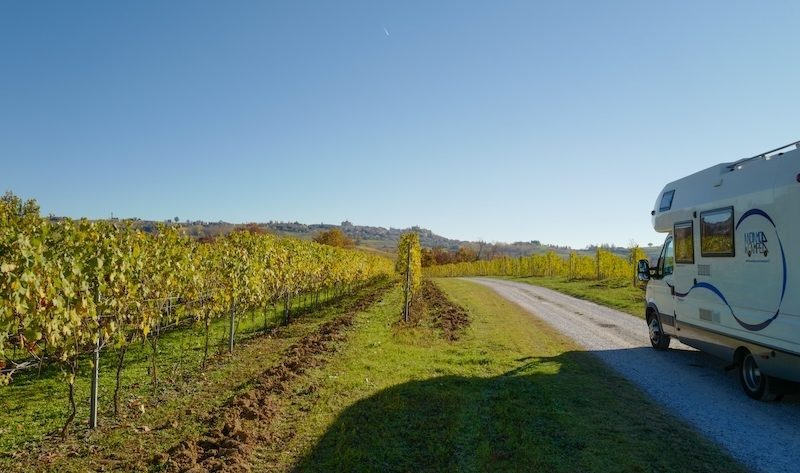 Tra i vigneti delle Langhe
