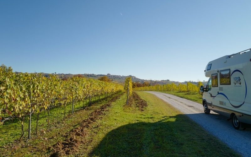 Tra i vigneti delle Langhe